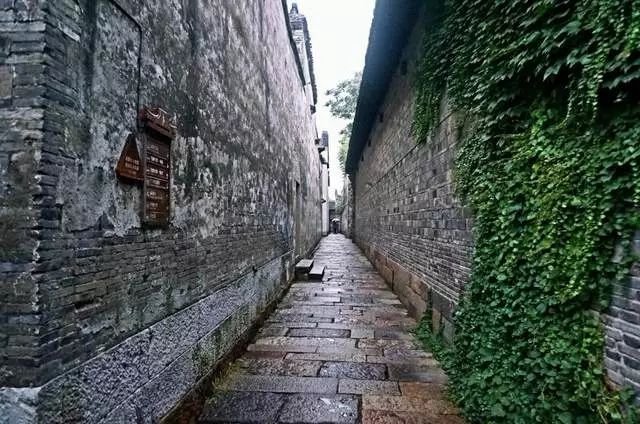 乌镇，梦里的江南水乡——体会木心《从前慢》的悠闲时光