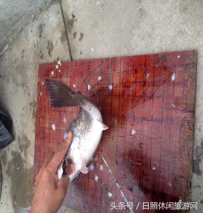 日照海边自驾一日游攻略,日照游玩海边安全