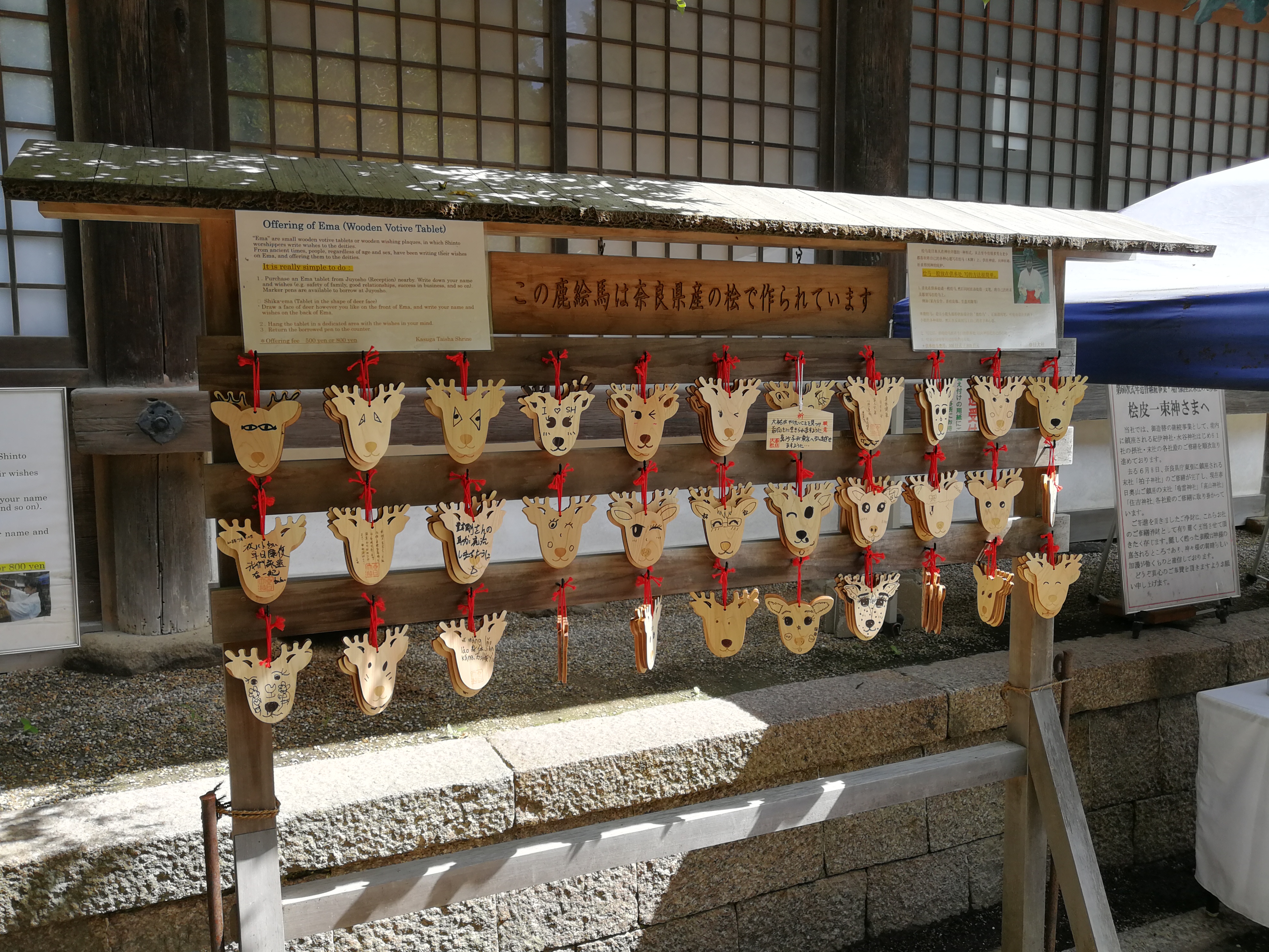 日本奈良亲子旅拍,日本游奈良小鹿