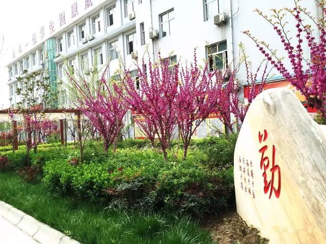 西安第48中学“低进高出，高进优出”，让每一位学生健康成长！