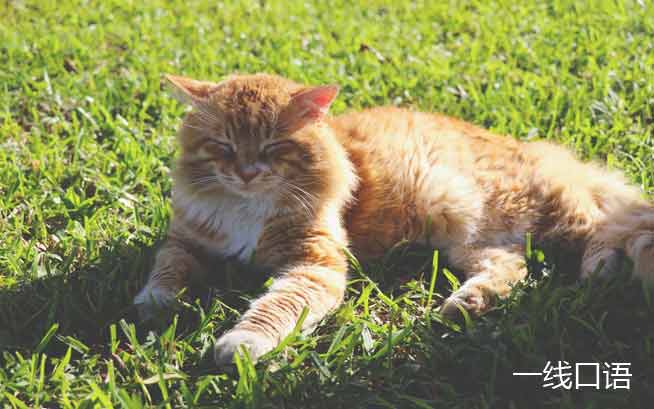 美国流行的网络用语大全,美国最流行的词汇