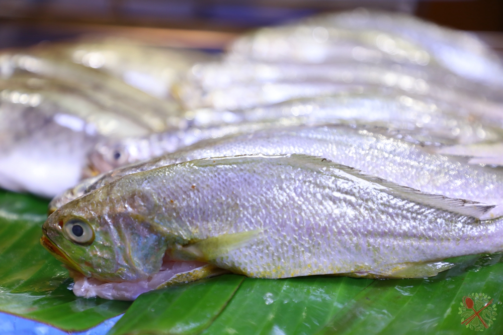 在香港带孩子逛超市 (怎么样带着孩子去香港扫货)