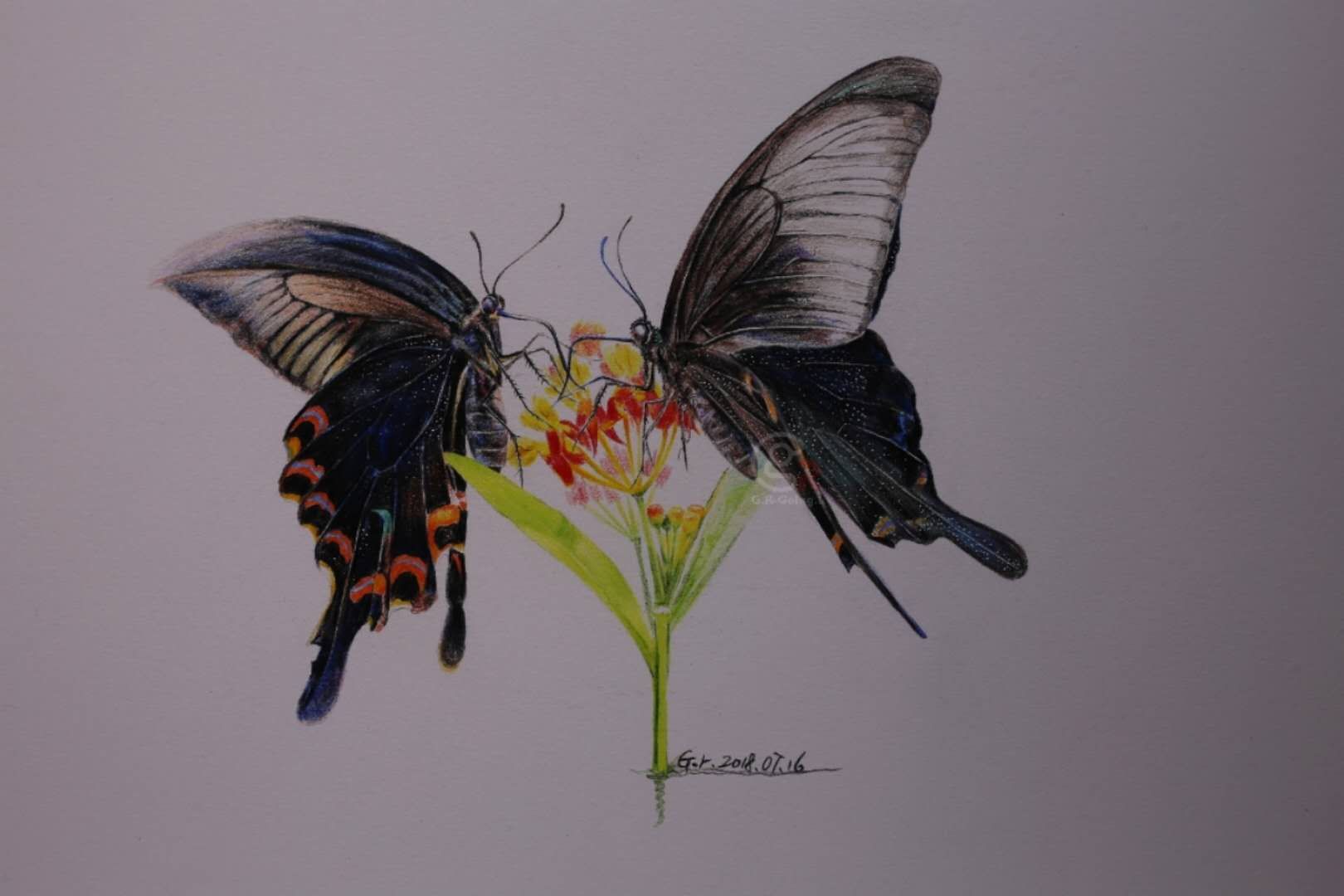 幸福原创画吧画友（7月17日）习作分享