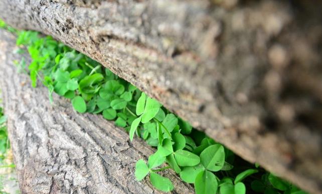 夹缝中的生意有哪些,做小生意年入百万的底层逻辑