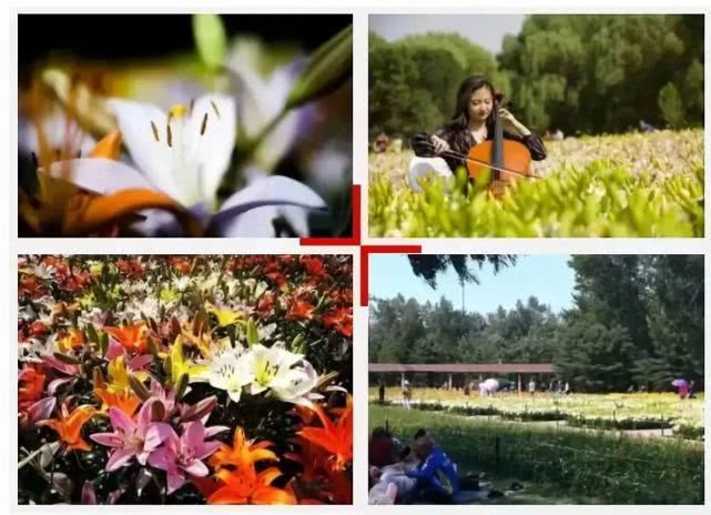 沈阳免费的消暑公园，大朋友小朋友不愁没地儿玩啦！你去过吗？