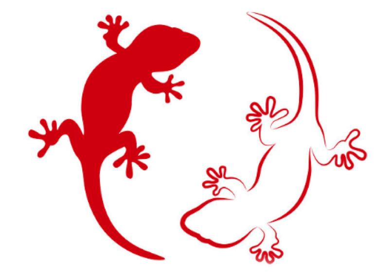 有剧毒的生物,动物界十大毒性杀手