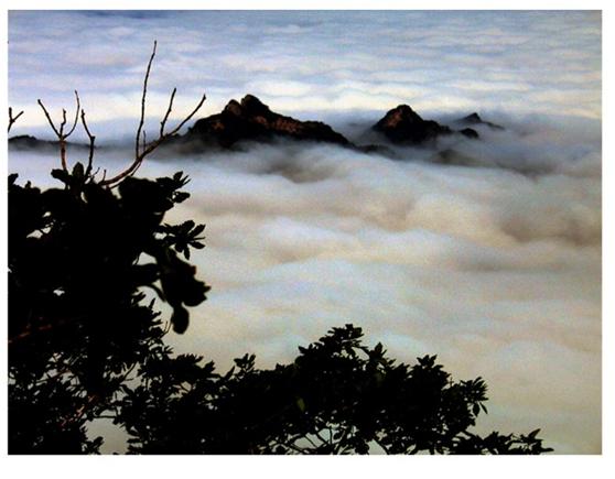 百首诗赞拉法山,百首诗作