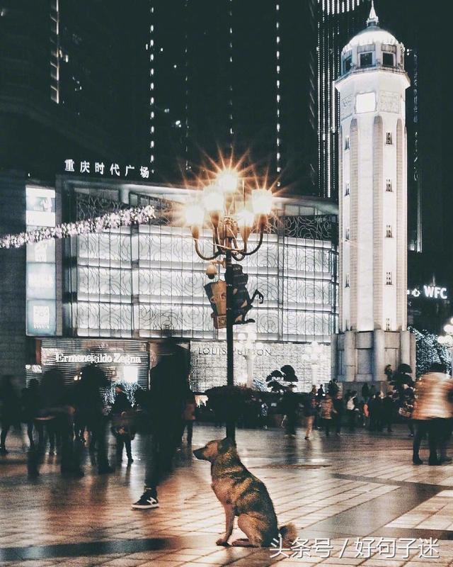 表达心情好烦的语录,一个人烦躁的心情短语