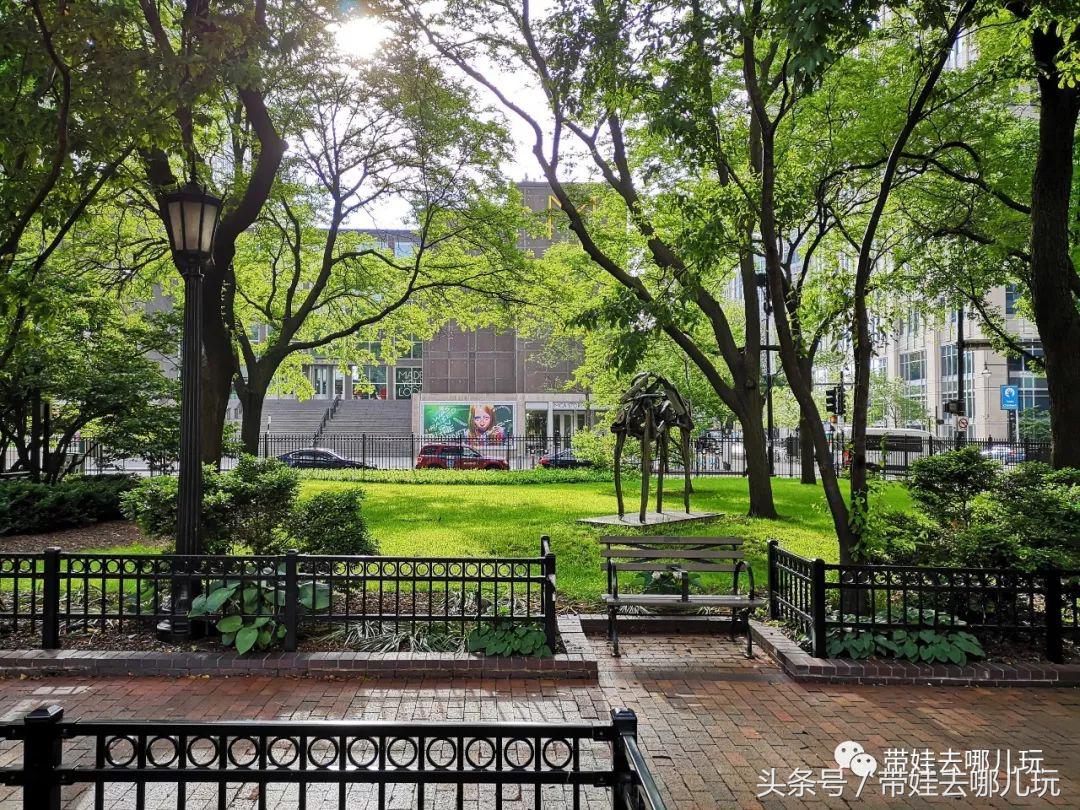 芝加哥清凉一夏,美国芝加哥初冬风景