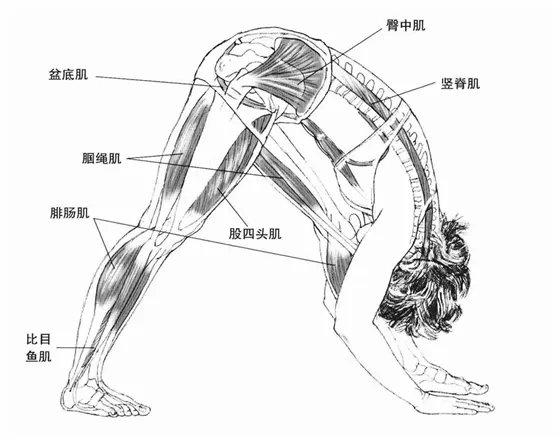 跑步膝关节小腿肌肉疼痛怎么恢复,跑步时膝盖疼伴随小腿酸