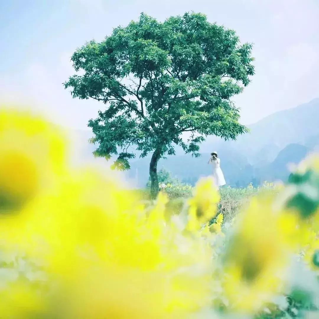 江苏最美的24个古镇,江苏十大最美古镇排行榜最新