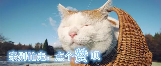 夏天绿豆汤清热解暑解毒,绿豆汤真的能消暑吗