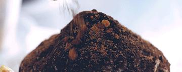 平顶山40度雪花冰,平顶山40度高温吃雪花冰