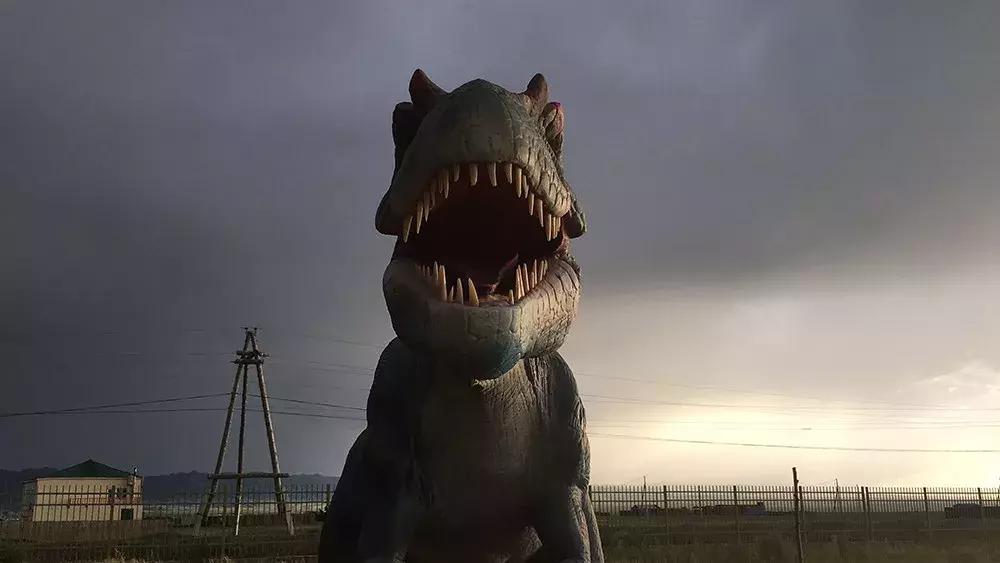 世界十大最高品质手机摄影大赛,2022年ippa摄影大赛