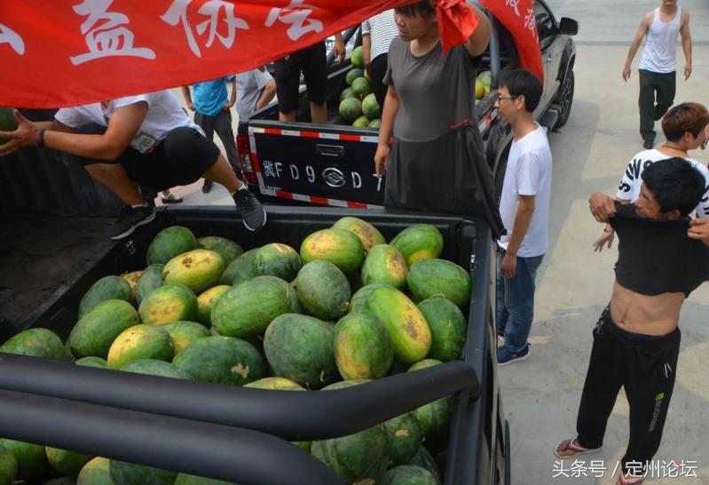 河北定州这些人竟然买了一万两千斤西瓜！给全城最可爱的人