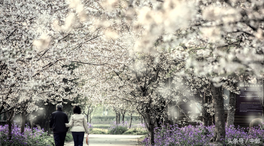 全面揭秘我不是药神,简析我不是药神影视