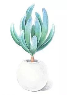 中暑了怎么办最快解决方法简单的,中暑急救方法