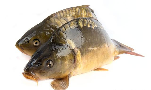 得了妇科炎症哪些食物一定要远离,有妇科疾病不能吃哪些食物