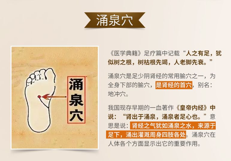 只需早一贴晚一揭即可祛风散寒,每天一贴祛湿效果好