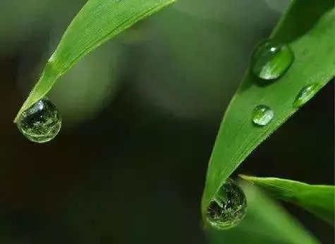 只需早一贴晚一揭即可祛风散寒,每天一贴祛湿效果好