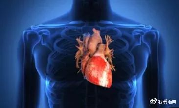 国外各种热销的膳食补充剂根本无需购买