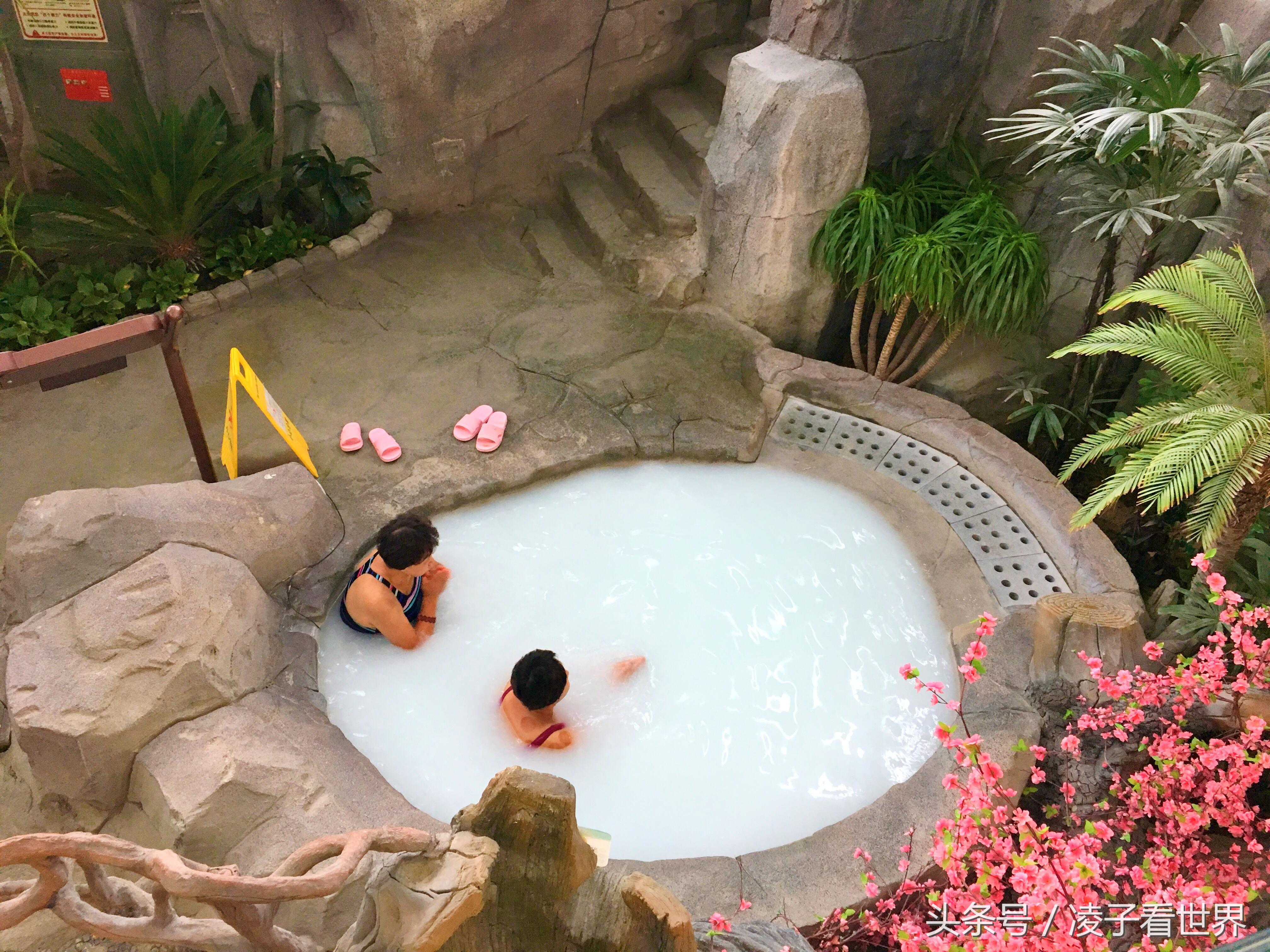 沙滩拾贝壳景区,沙滩花海美景