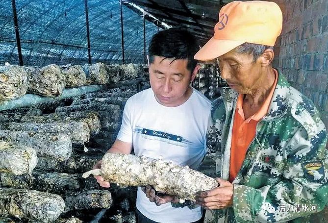 聚焦脱贫攻坚探访扶贫新事,扶贫引领百姓脱贫致富