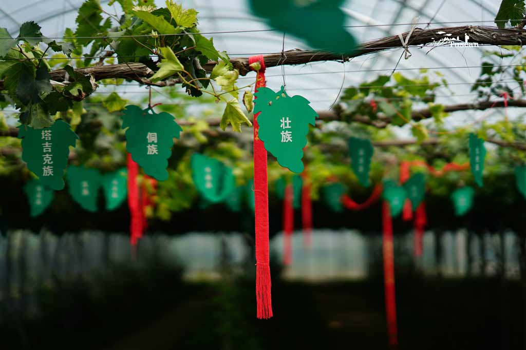 陕西除了黄土高坡,更有临渭迷人的青山绿水