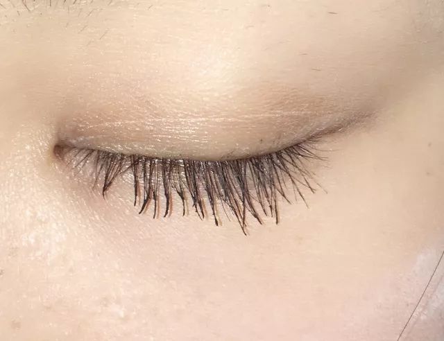 睫毛膏10大品牌推荐,平价卷翘睫毛膏测评