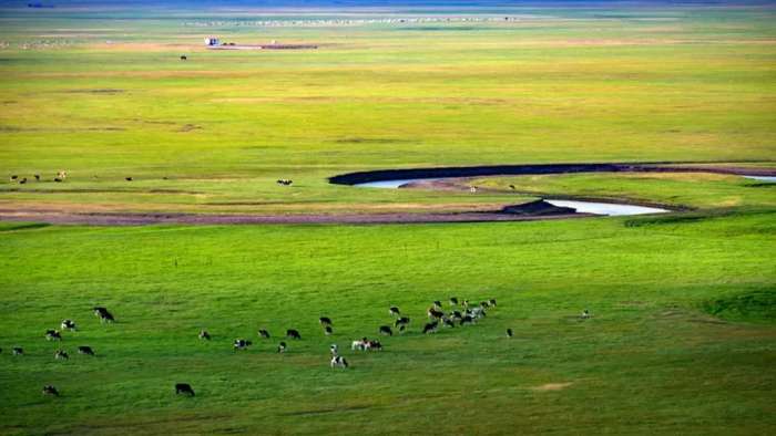 想和你一起去旅行去大草原 (呼伦贝尔大草原天苍苍野茫茫)