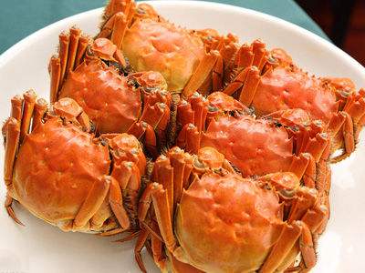 大闸蟹买阳澄湖还是固城湖好,活蟹正宗固城湖大闸蟹