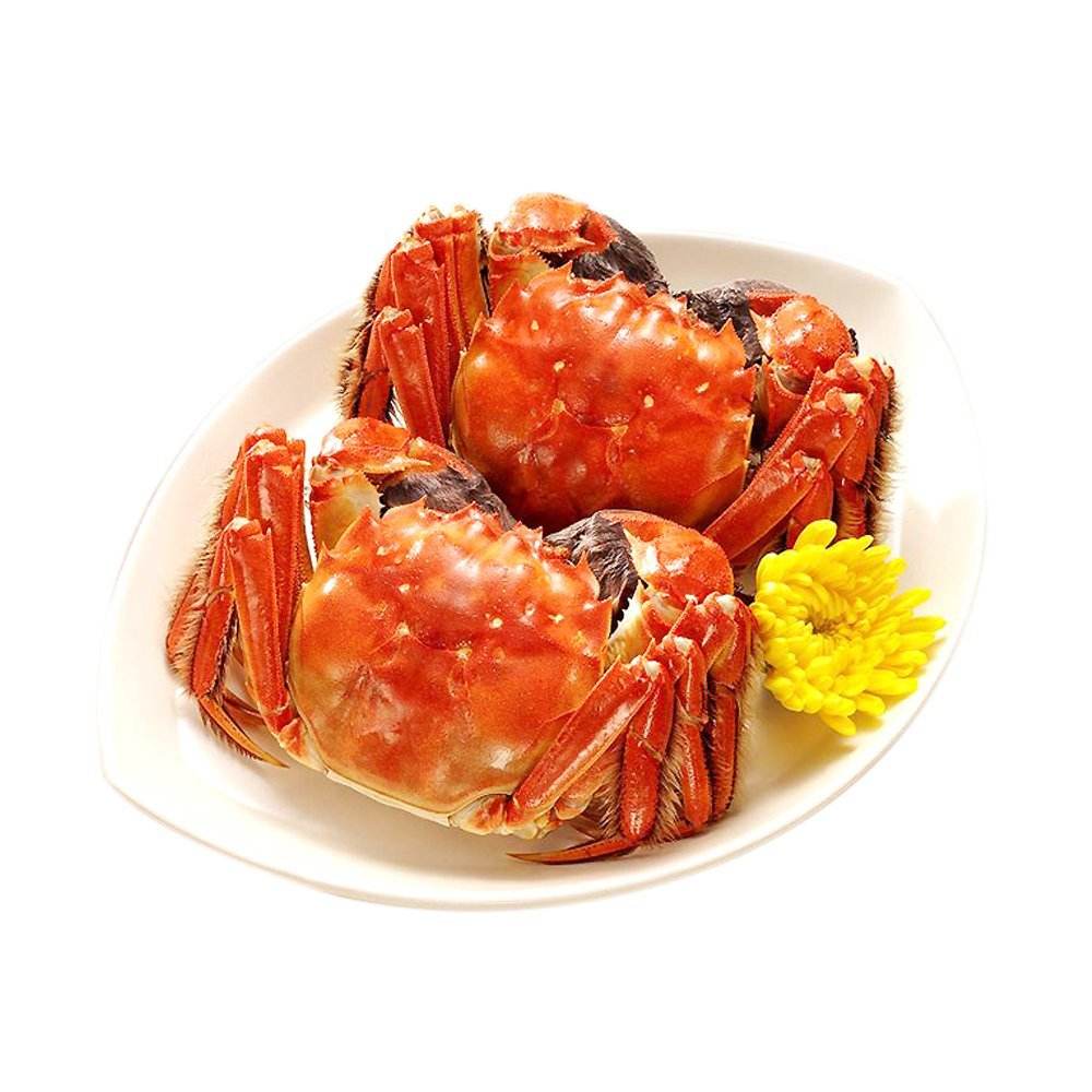 大闸蟹买阳澄湖还是固城湖好,活蟹正宗固城湖大闸蟹