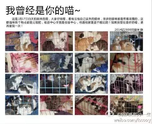 我不能怂歌曲,我不能怂攻略