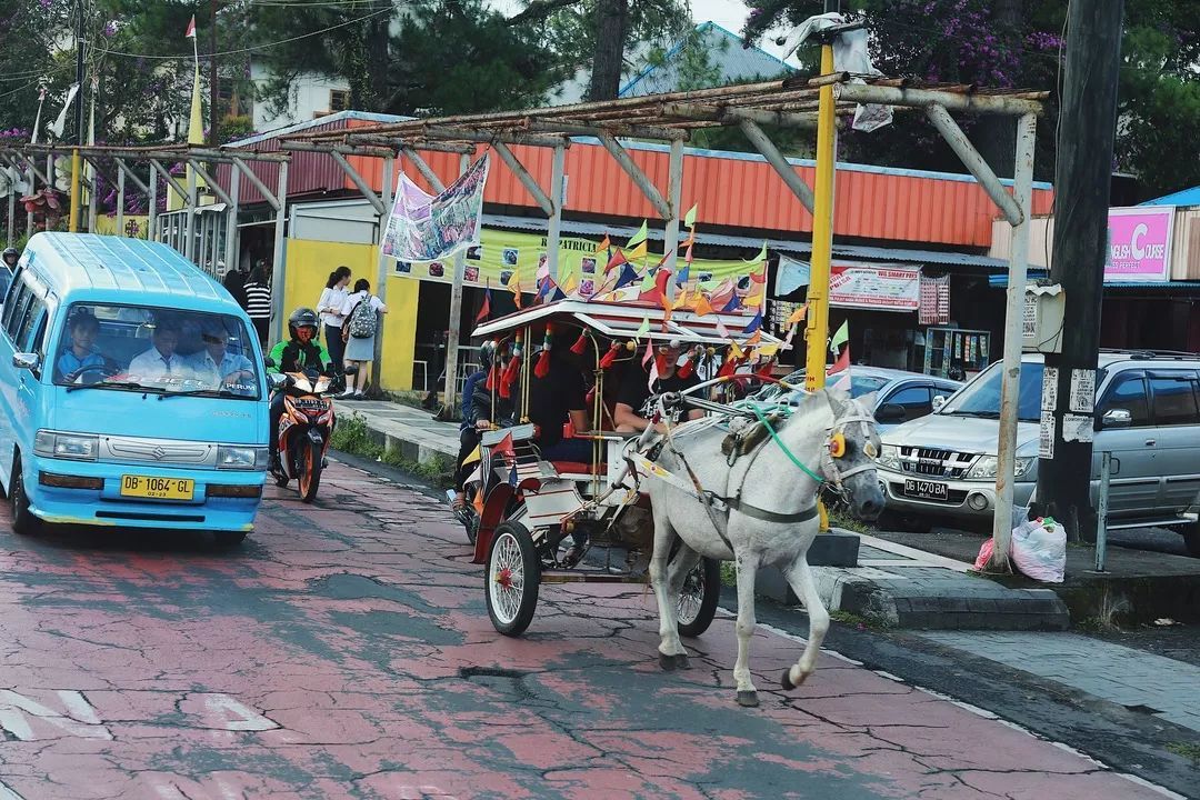 印尼美娜多潜水,印尼美娜多潜水考证