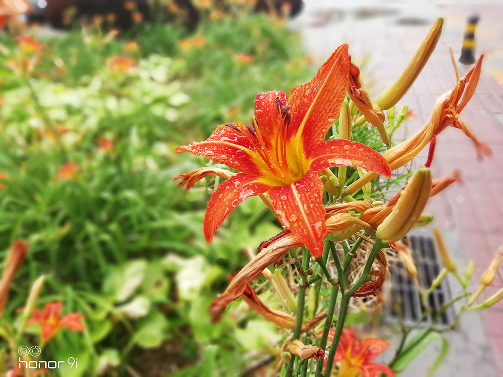 荣耀9i性能测试,荣耀9续航测评