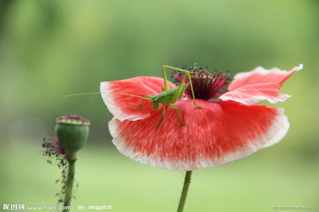 老公幻想我出轨怎么办,总是幻想老公出轨是什么情况
