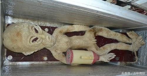 科学家发现来自外太空的尸体