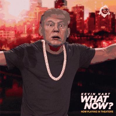 谷歌华裔科学家,谷歌研究员坚称ai具备人格被停职