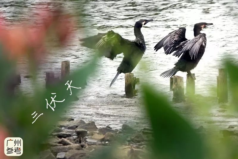 台风山神去世,台风山神有多强