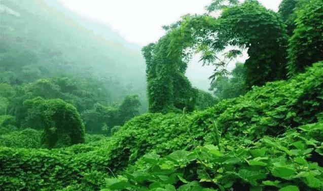 我们向全世界发出邀请！2019，欢迎您来到石家庄！