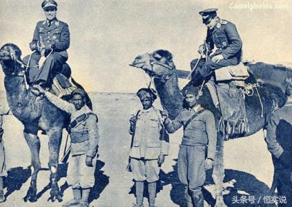 隆美尔宝藏之谜,隆美尔宝藏最新消息