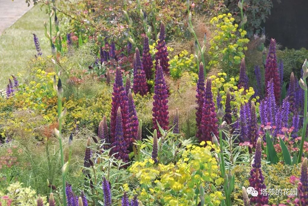 这座暗黑花园，不仅酷，还防涝