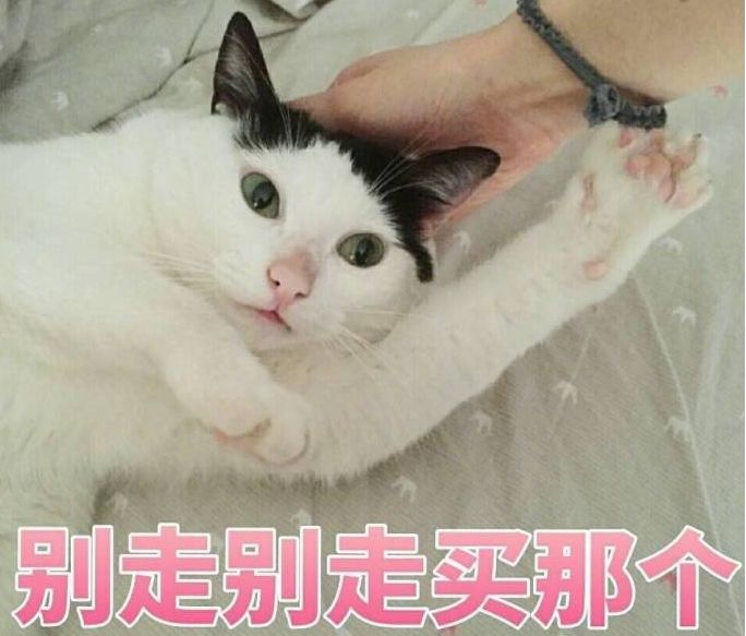 适合新手用的平价眼影,新手平价眼影高光修容一体盘推荐