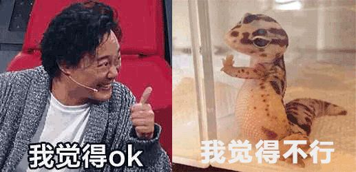 邪不压正影评细节分析 (邪不压正深度解析专业影评)