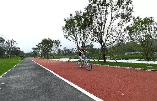 双流十大公园,双流生态公园