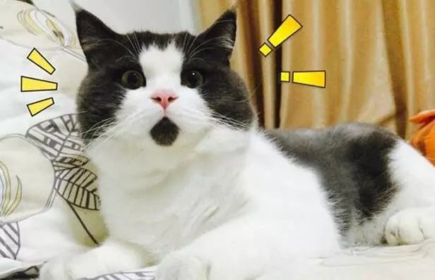 灞卞寰俊杞彂璇煶琚獥,鏈夌洍鐢ㄨ闊冲井淇¤楠楅挶鐨勫悧