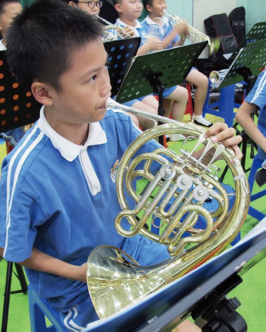 把动物看成一种乐器有哪些,如果把你比作一种动物你就是天鹅