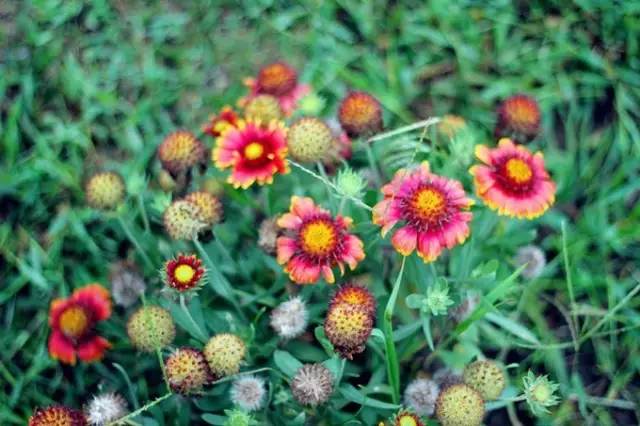 不需要签证最美的海岛,不用出国也可以玩的海岛