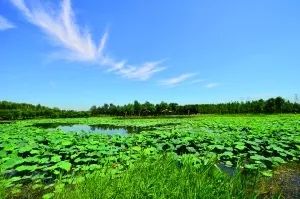 疏解非首都功能政策,抓住城市治理的牛鼻子