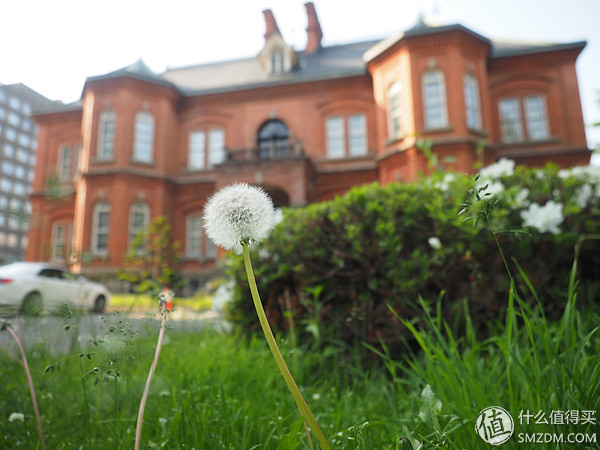 北海道札幌的散步之旅,日本北海道小樽旅游攻略